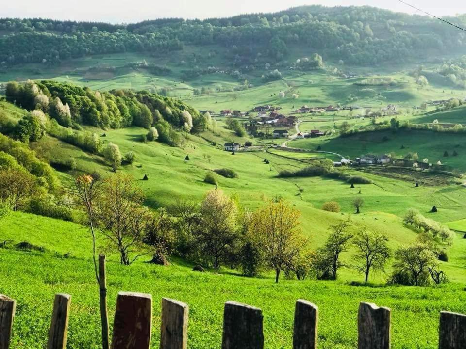 Pensiunea Valea Toplitei Rosia Luaran gambar